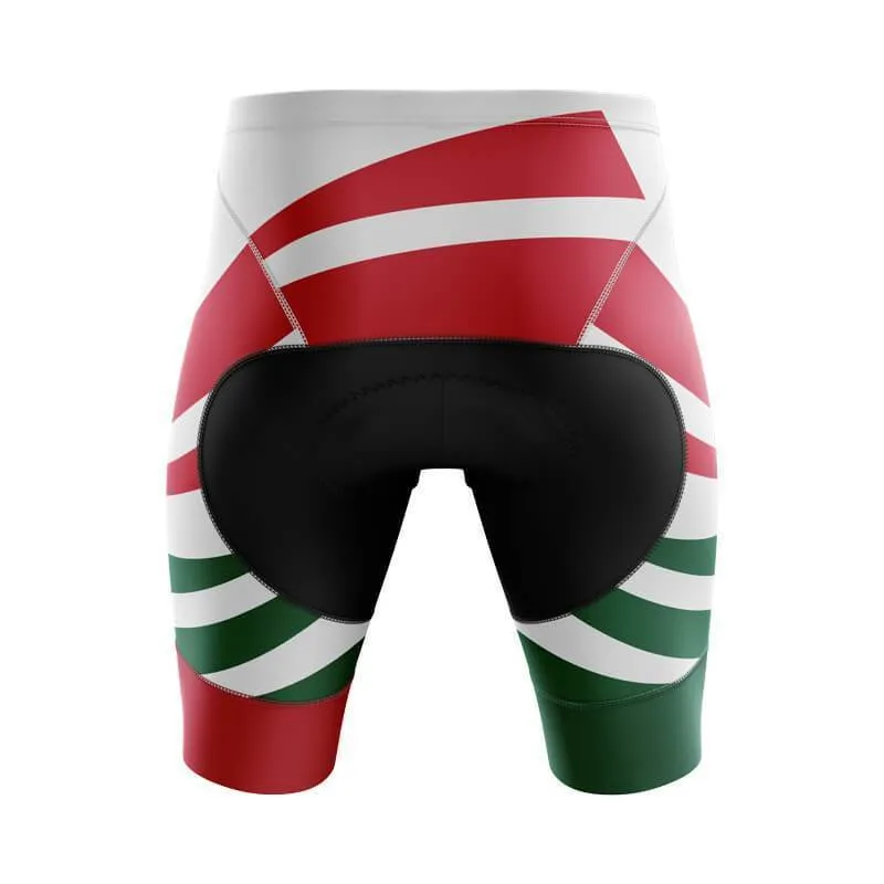 Mexico Flag (V1) Bib & Shorts